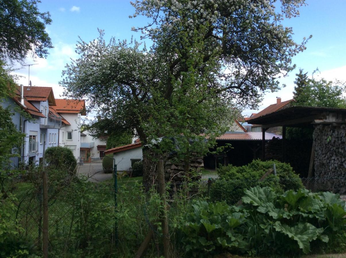 Ferienwohnung Christiane - nagelneue, moderne Ferienwohnung mit Blick ins Grüne Ober-Abtsteinach Exterior foto