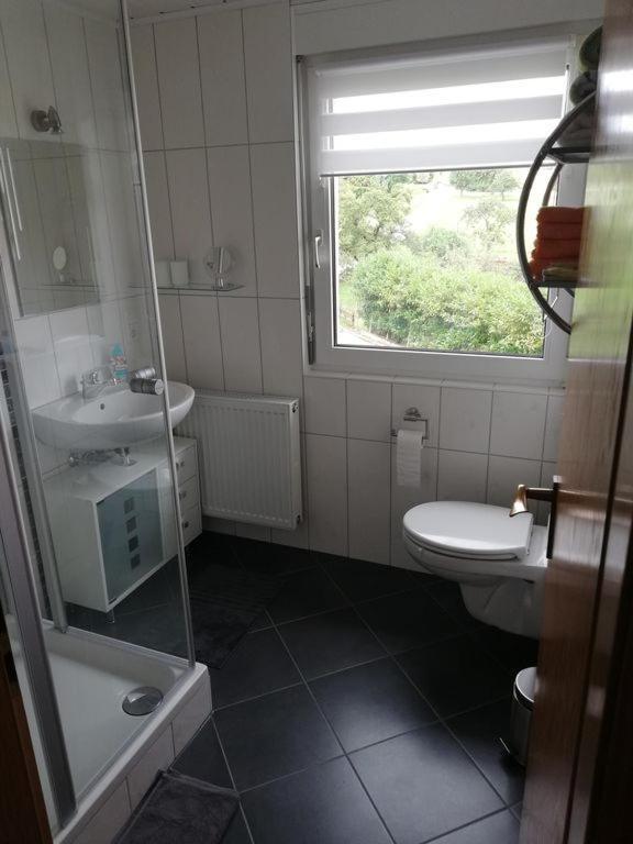 Ferienwohnung Christiane - nagelneue, moderne Ferienwohnung mit Blick ins Grüne Ober-Abtsteinach Exterior foto